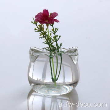Cam vazo hidroponik bitki çiçek vazo